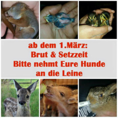 ... ab dem 1.M�rz Brut- & Setzzeit beachten ...