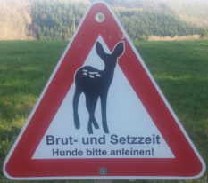 ... ab dem 1.M�rz Brut- & Setzzeit beachten ...