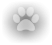 CANiNE-K9